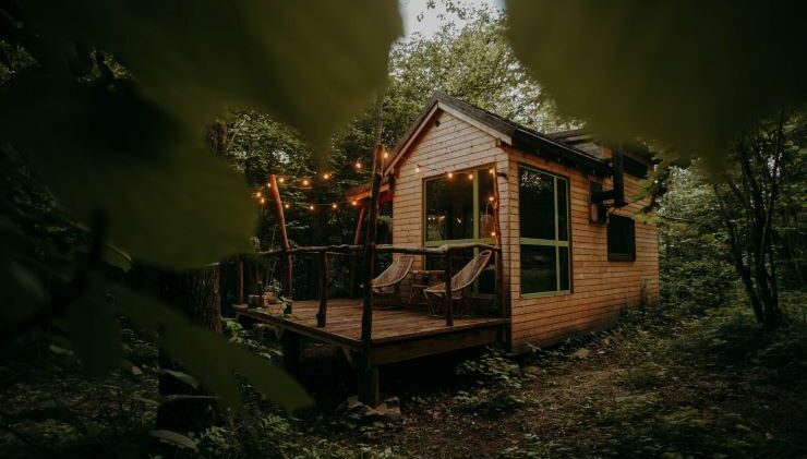 Przytulna kabina w bujnym lesie z tarasem, bajkowymi światłami i meblami ogrodowymi otoczonymi zielonymi liśćmi.