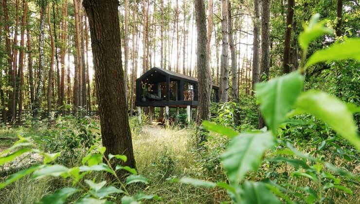Mały, nowoczesny domek położony w gęstym lesie otoczonym bujną zielenią.