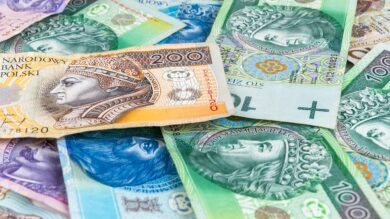 Kolekcja banknotów o nominałach 200, 100, 50, 20 i 10 złotych o różnych nominałach, przedstawiająca różne postacie historyczne i kolorowe wzory.